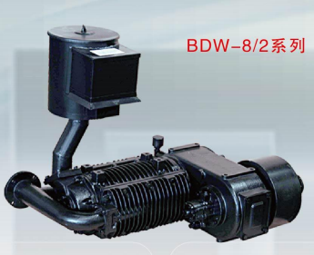 CAMC Поворотный воздушный компрессор без смазки 'BDW 8/2'